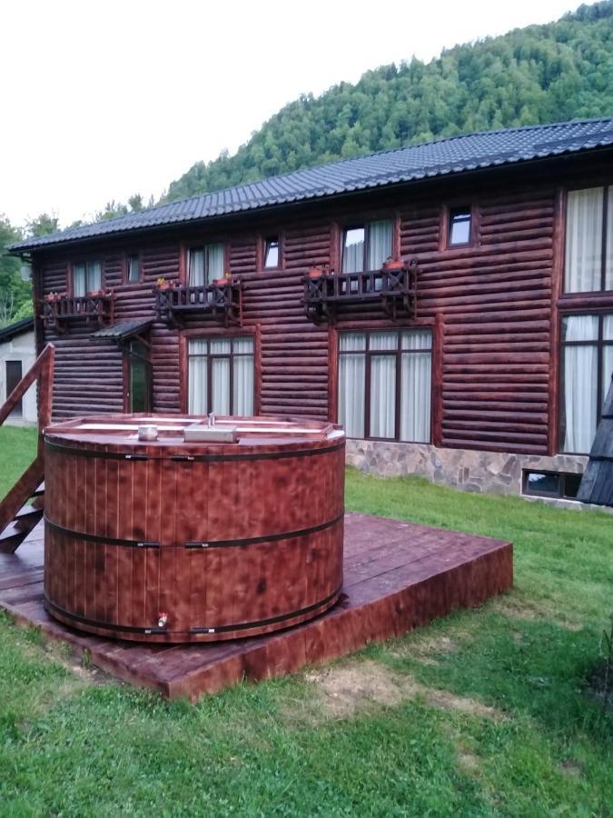Pensiunea Roxana Valea Viseului エクステリア 写真