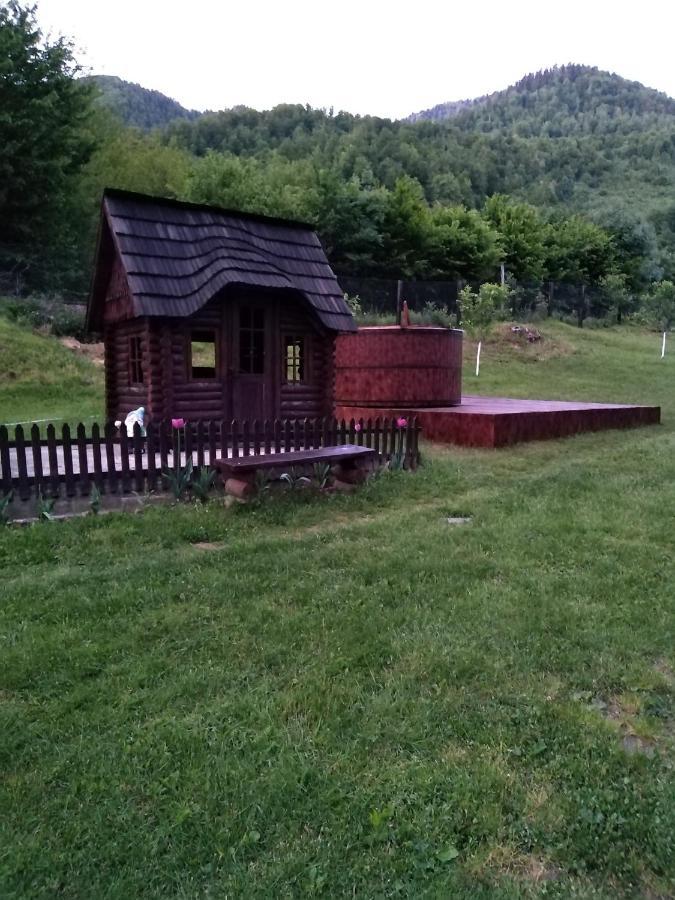 Pensiunea Roxana Valea Viseului エクステリア 写真