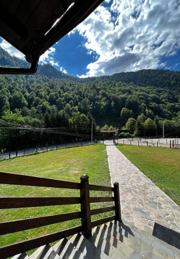 Pensiunea Roxana Valea Viseului エクステリア 写真
